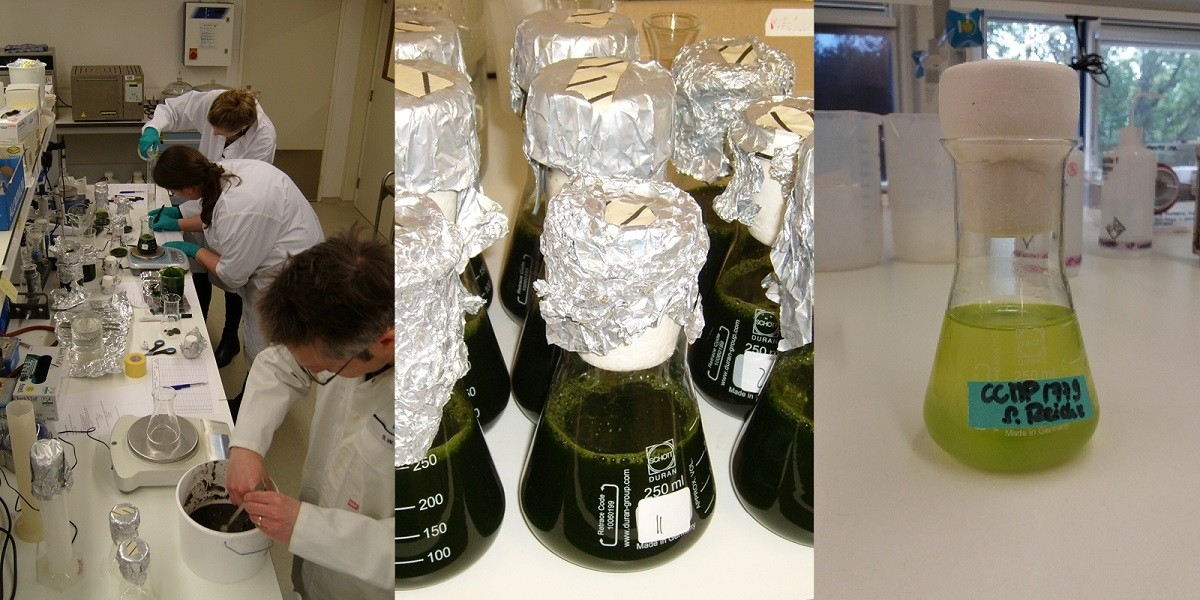 Left and middle: degradation experiment using biomass and sediment and water from the Dutch Wadden Sea. Right: Analysing the extractability of long chain alkyl diols.