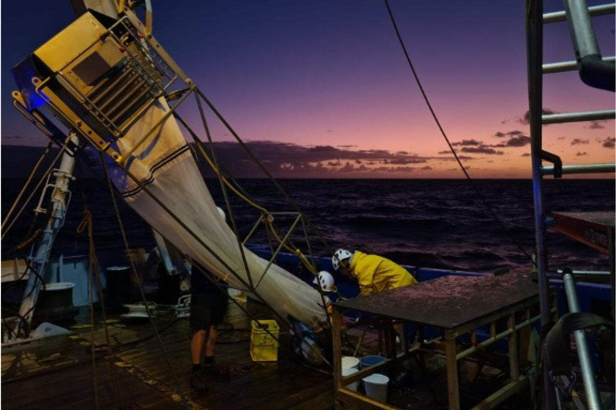 Retrieval of the multinet during sunrise – Robin van Dijk