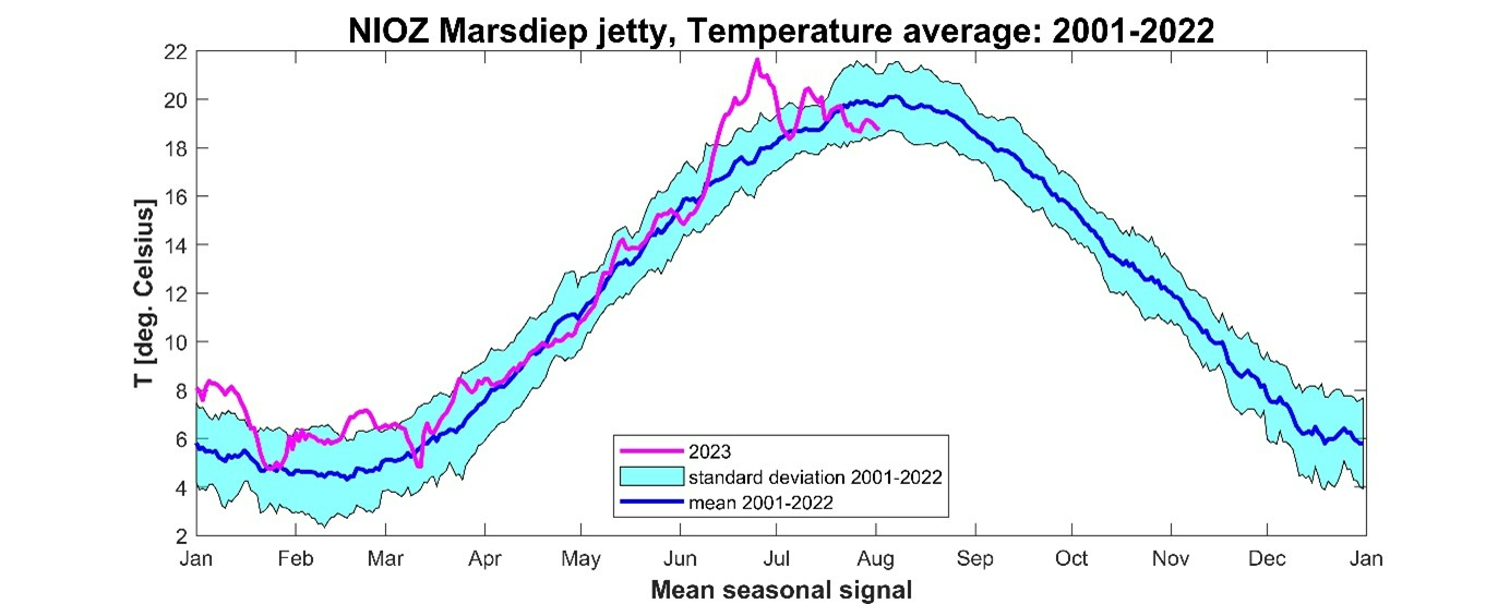 Seasonal mean signal of daily mean temperature measured at the NIOZ jetty over the period 1982-2022