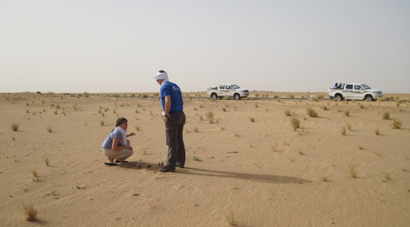 Saharan dust at the source: Akjoujt, Mauritania