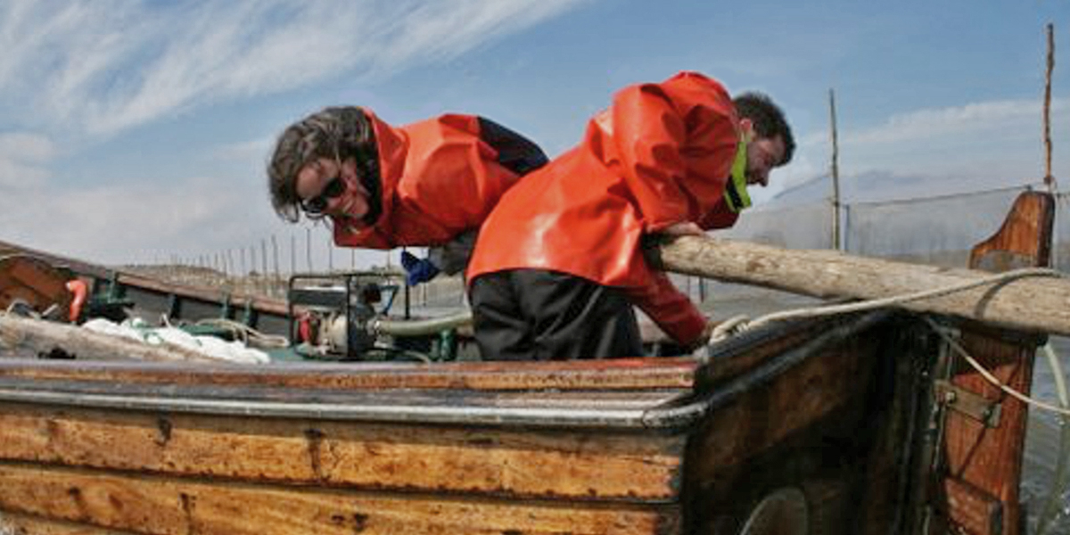 Removing the fyke poles. Photo: Marco Kortenhoeven