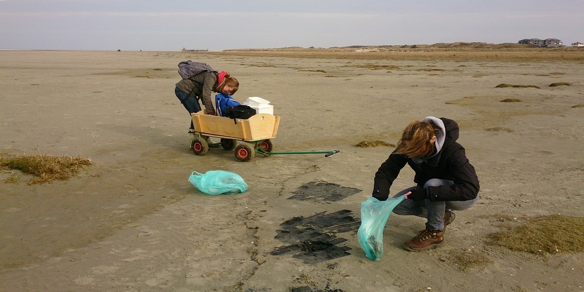 Fieldwork at Schiermonnikoog