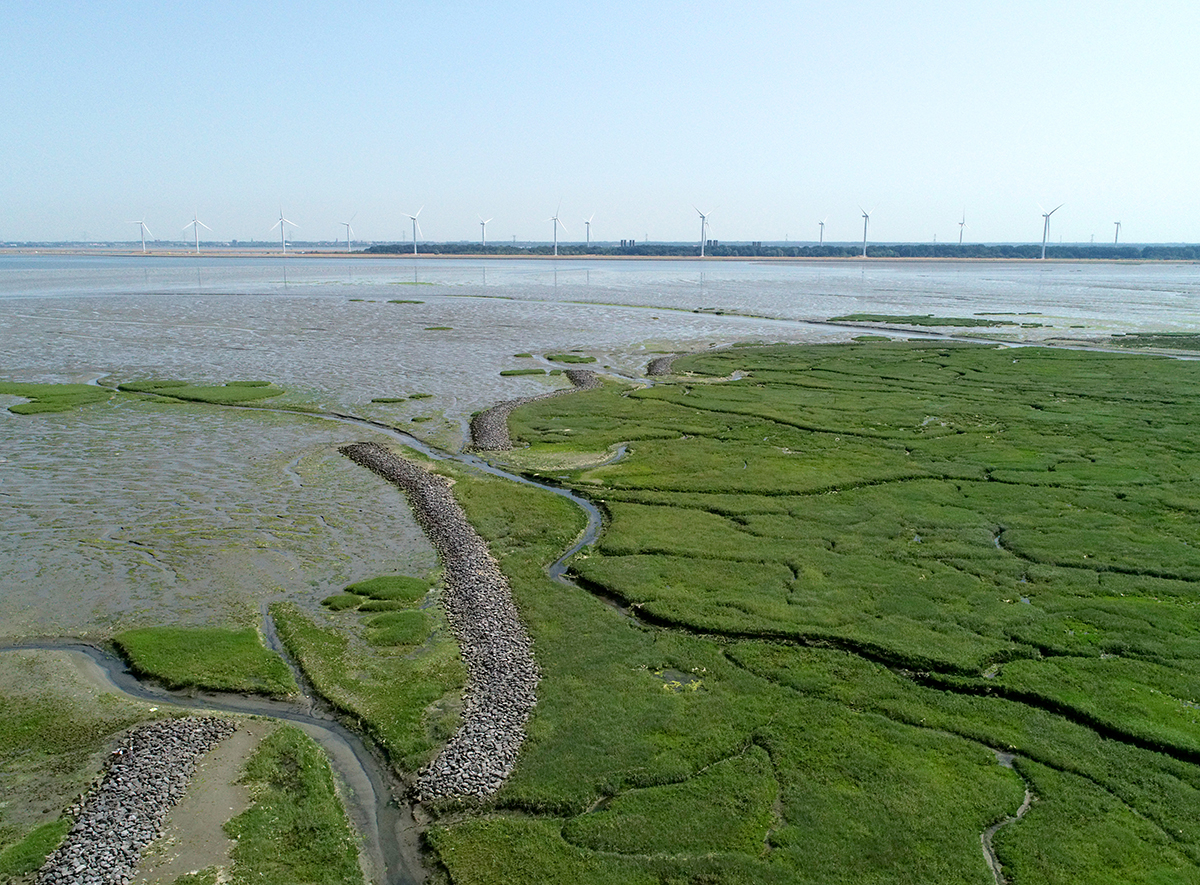 Rattekaai vanuit drone. Foto: NIOZ