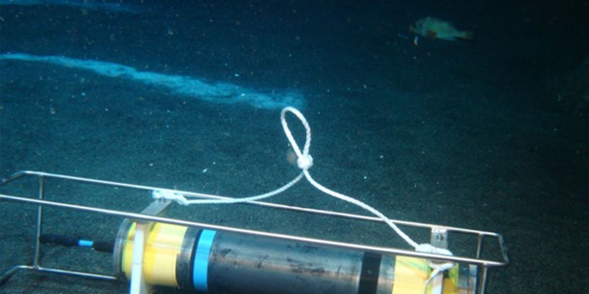 The white bacterial mat behind the hydrophone (a device to detect and record sounds from the ocean) is an indicator of higher temperatures in the sediment and a prime spot for us to collect sediment samples