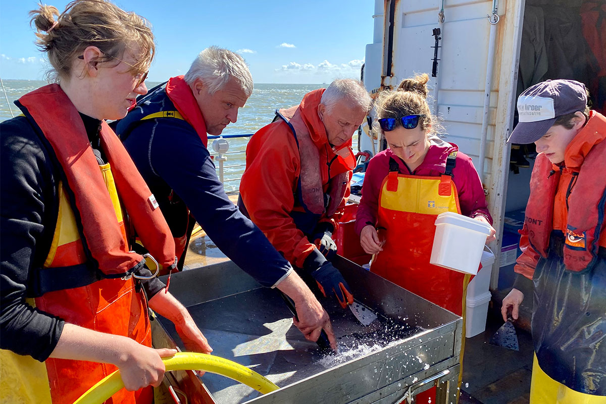 All hands on deck for sieving. Photo: Silke Tas