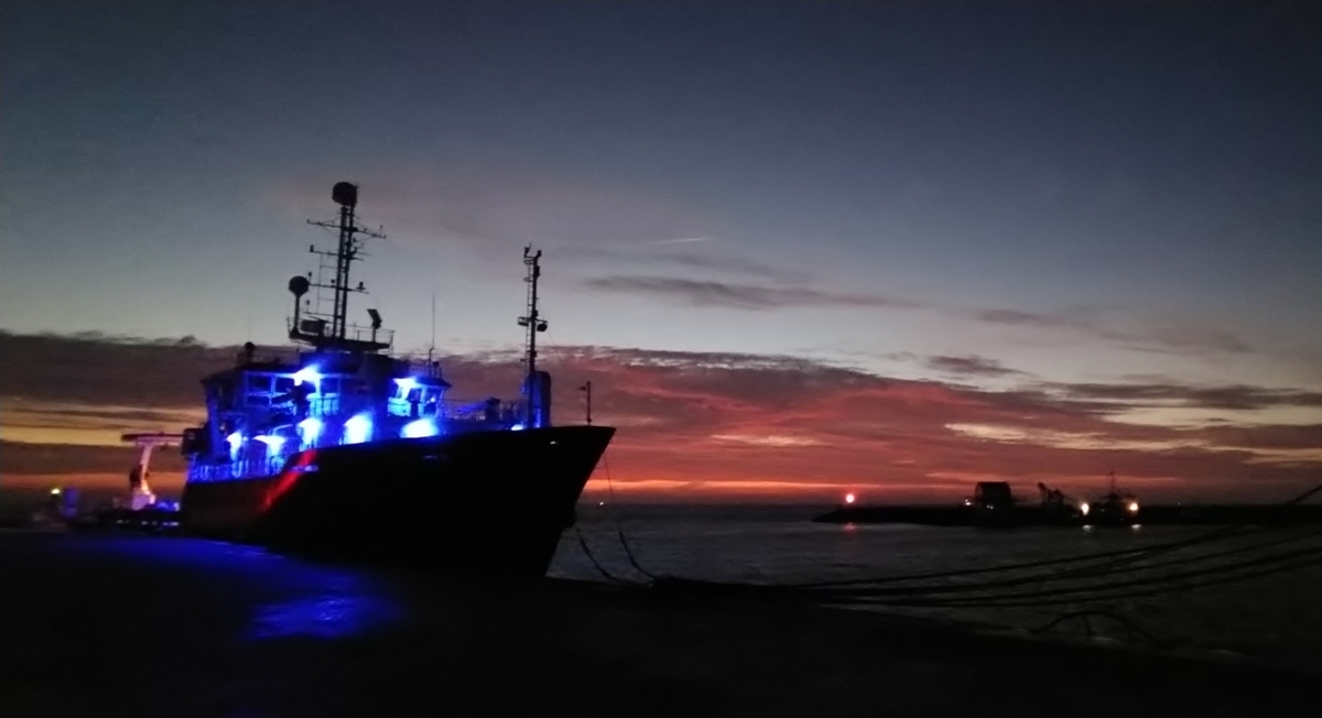 RV Pelagia in the NIOZ harbour