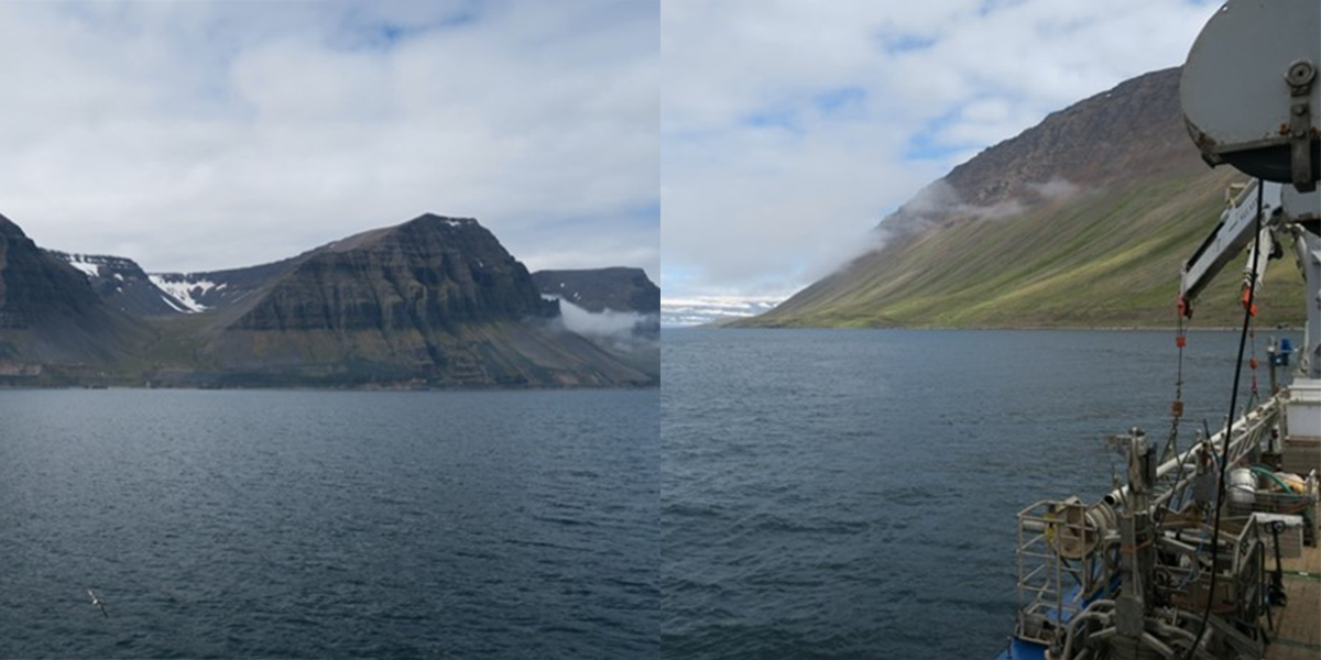 Iceland's coastline