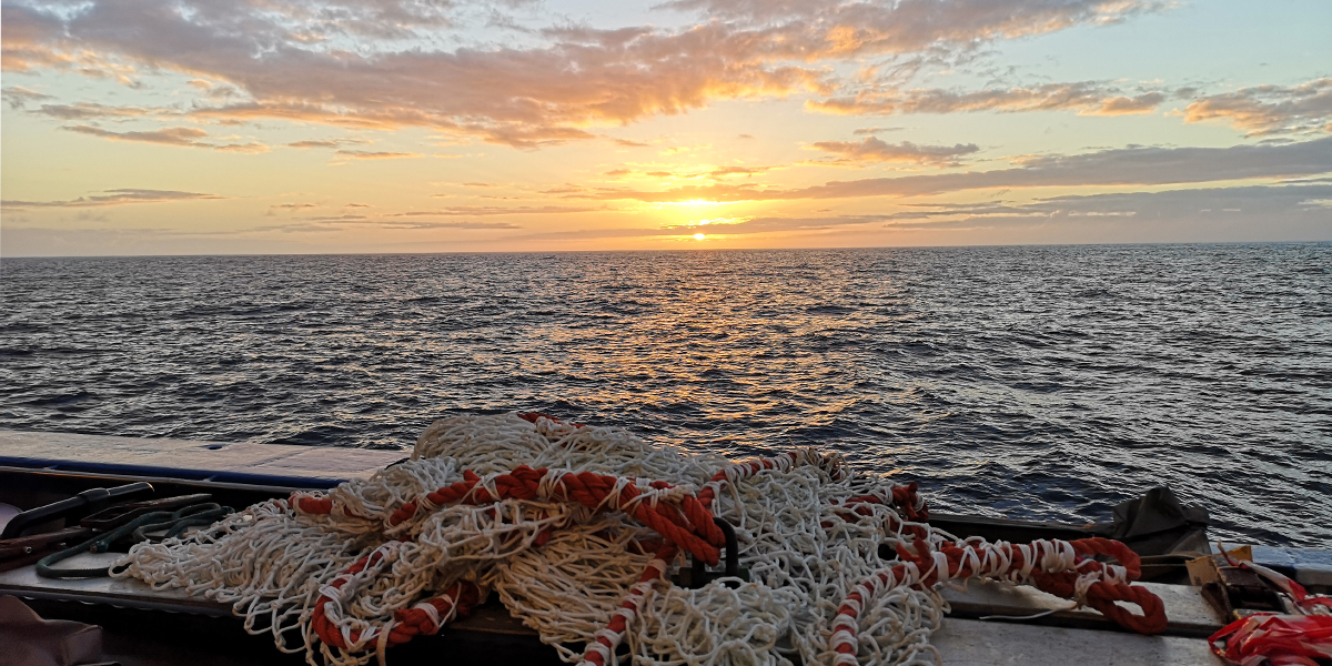 In the early morning you can see beautiful sunrises at sea. Photo: NIOZ