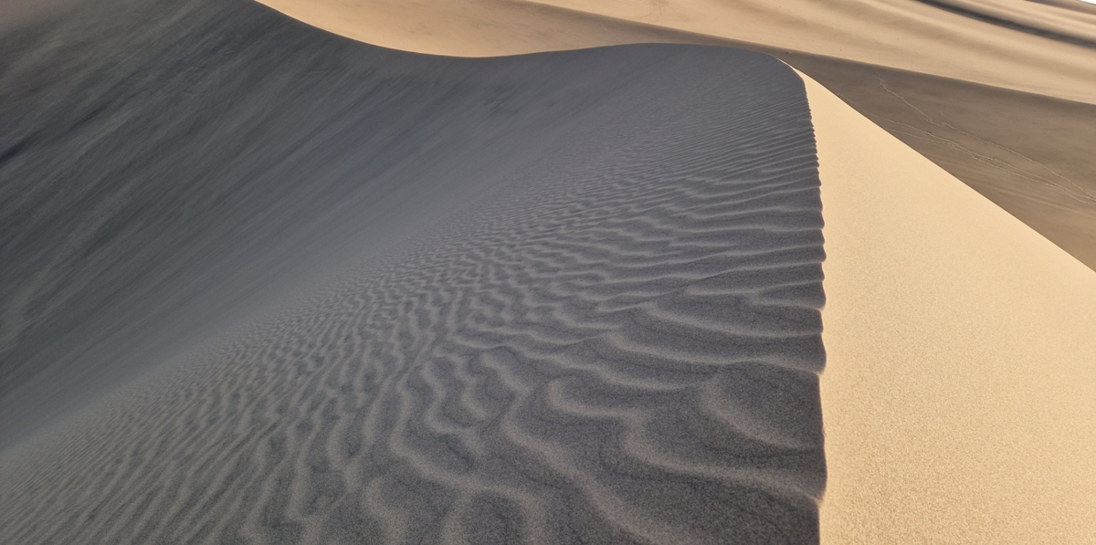 Ripples on the windy side of the dune