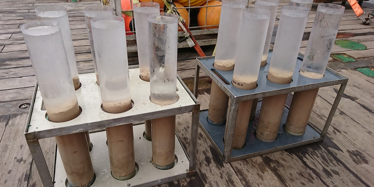 Here you see the twelve tubes with material from an area where no human has ever been; this is pretty exciting stuff!! 