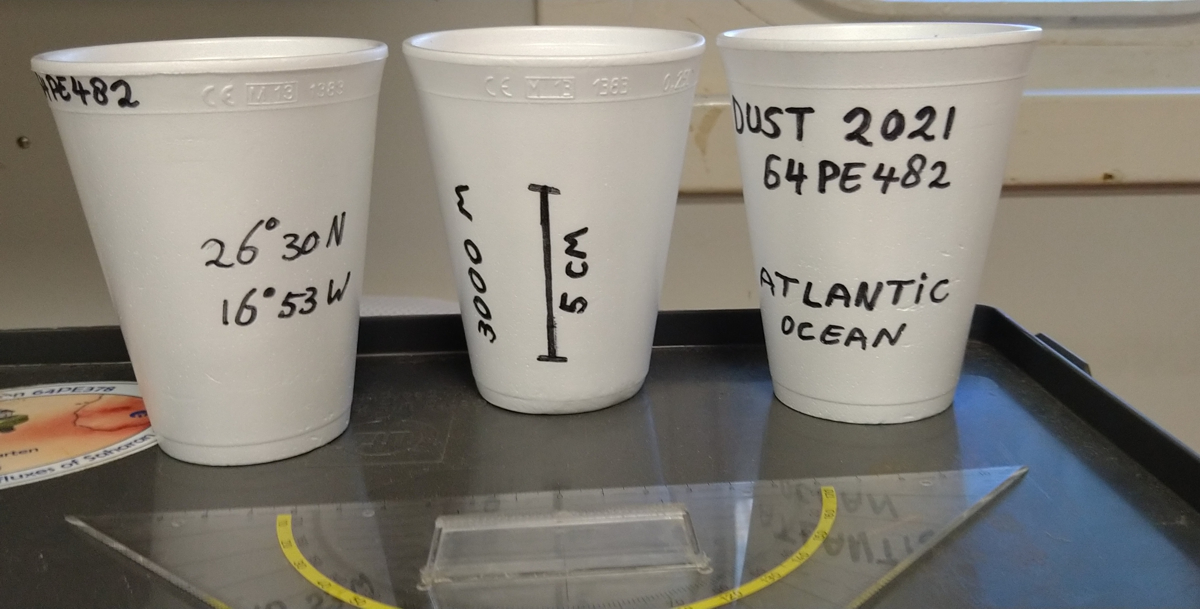 Decorated Styrofoam cups before diving down to 3000m