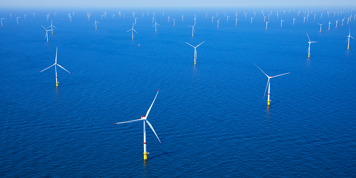 Naar verwachting beïnvloedt een windmolenpark, zoals deze voor de kust van Zeeland, door zijn grootschaligheid de biomassa en diversiteit van het zeeleven. R. de Bruijn_Photography/Shutterstock.com