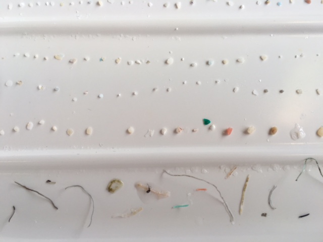 Differtent sizes of plastics from the Atlantic, photo: NIOZ/Erik Zettler