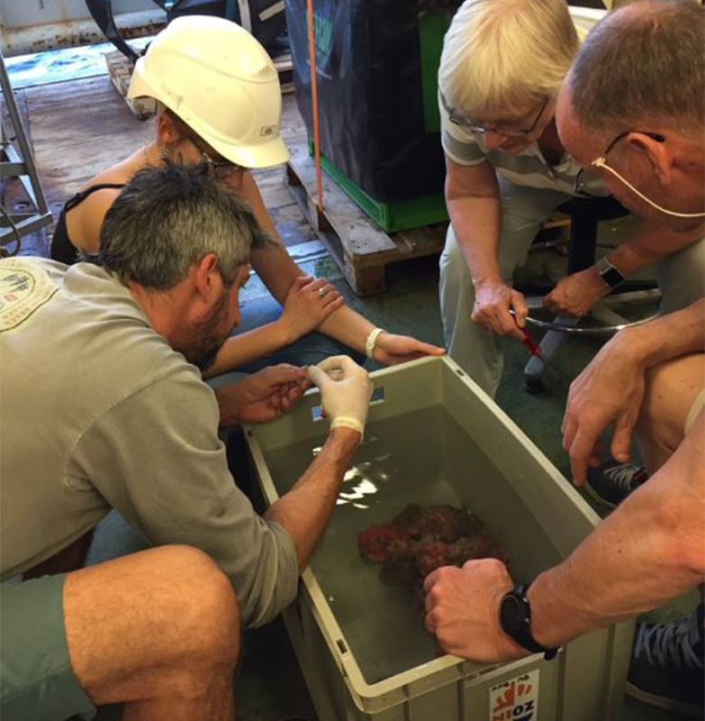 SUCCESS! Here some of the team take first look at a carbonate column on board. Photo: Matthew Humphreys