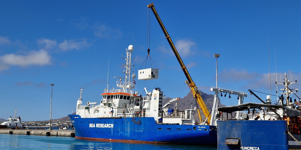 Pelagic Fish Research - Roctopus - ecoTrust