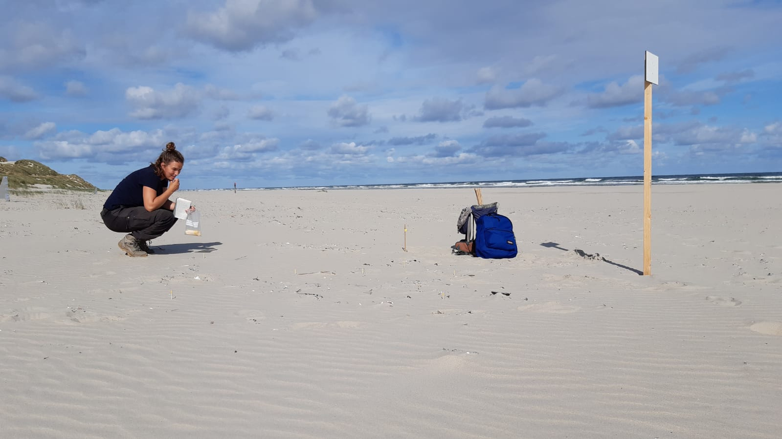 Monitoring of a field experiment on the beach of Terschelling. Photo: Eva Lansu