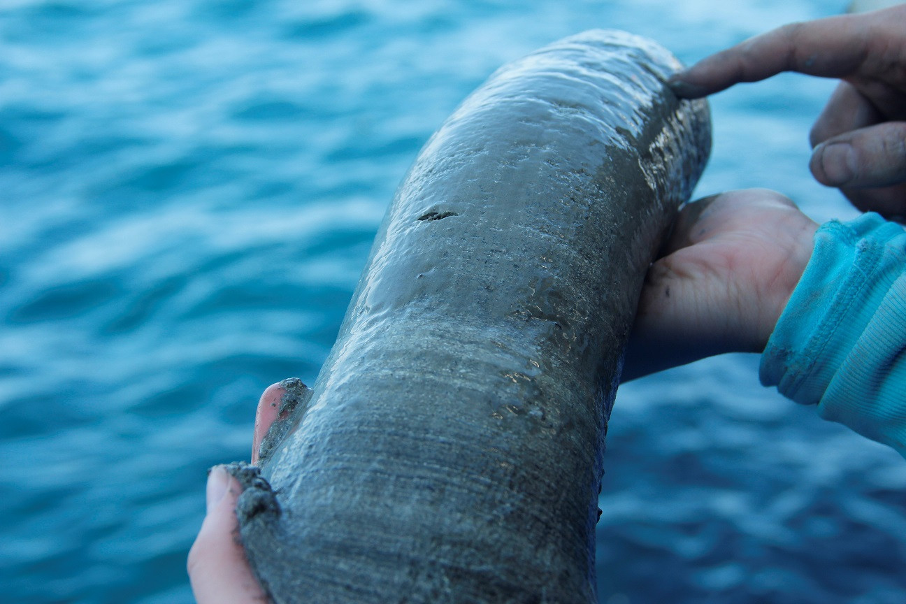 The layers in the sediment core are already clearly visible with the naked eye. Good core!