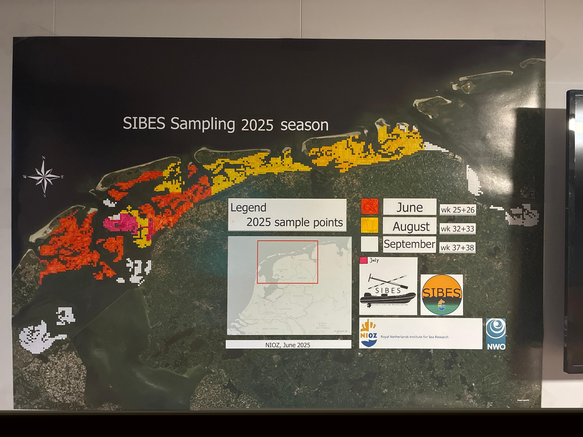 The map of the Wadden Sea showing what has been sampled (Photo: Suzan de Wit) The map of the Wadden Sea showing what has been sampled (Photo: Suzan de Wit)