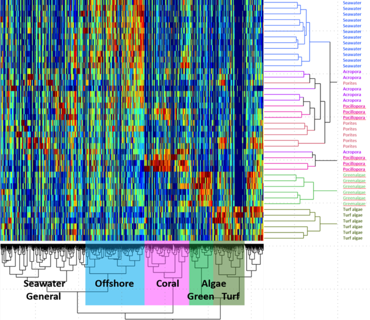 Clustering of exometabolome features found in Caribbean coral reef waters dominated by different primary producers. Clustering of exometabolome features found in Caribbean coral reef waters dominated by different primary producers.