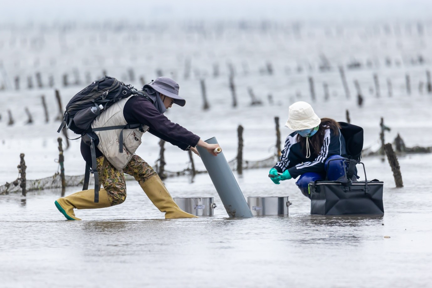 Fieldwork along the chinese coast.