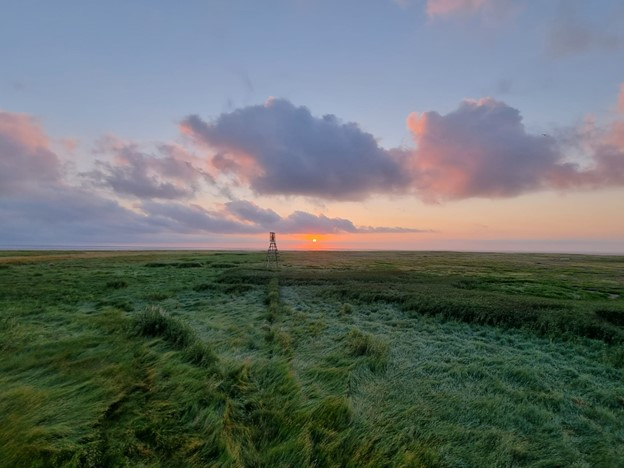 Uitzicht op Griend. Foto: Evy Gobbens