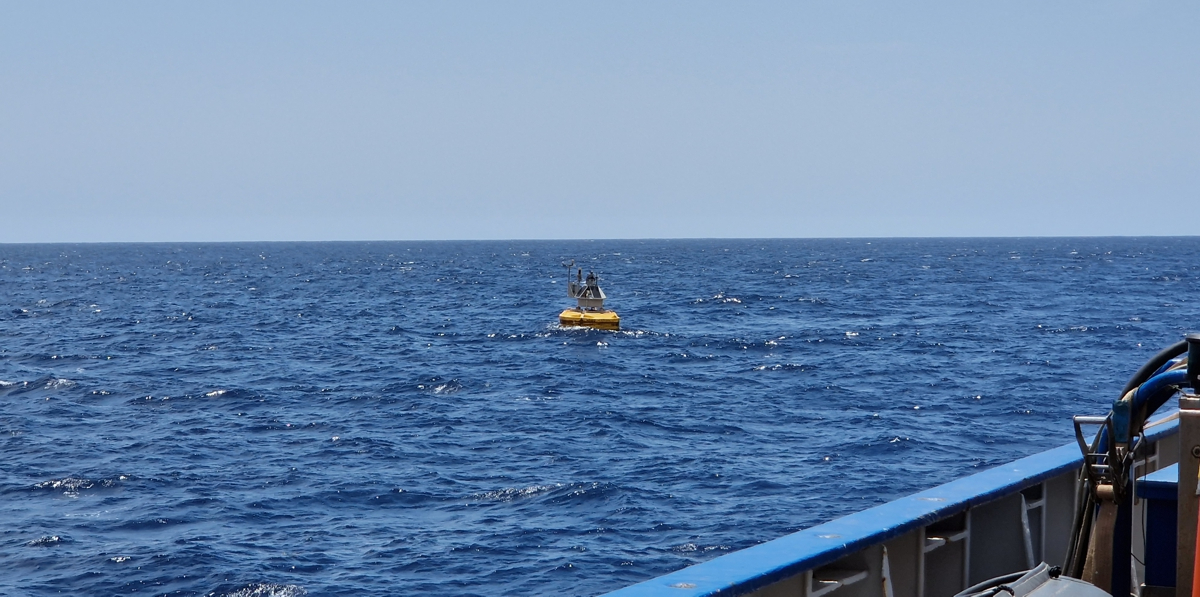 Buoy Laura in sight