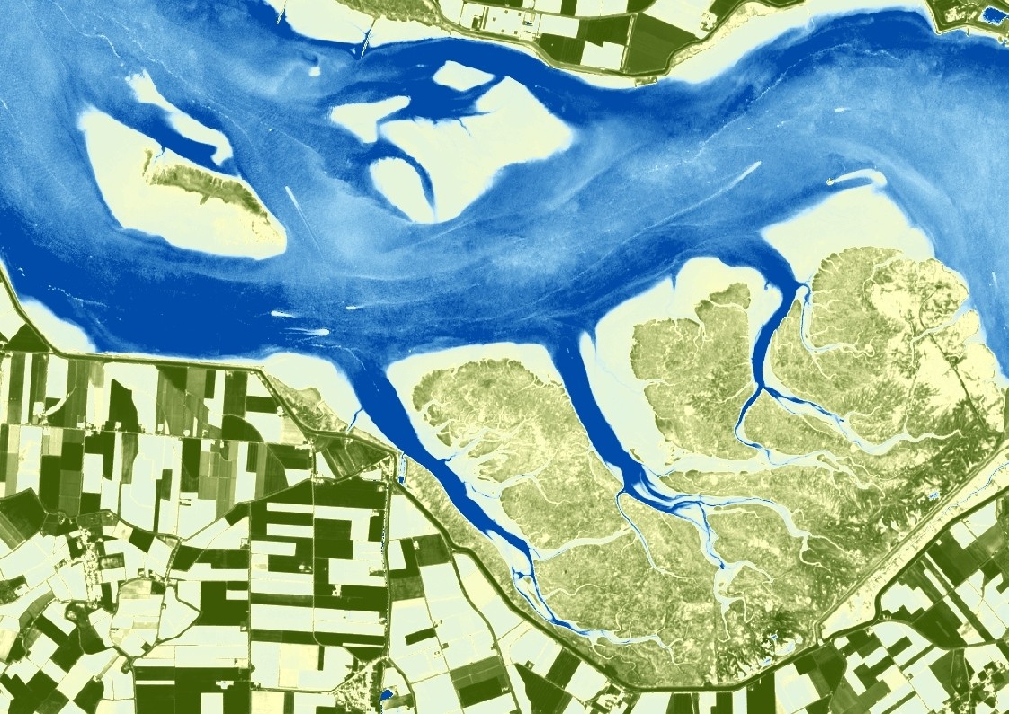 Vegetation index of saltmarsh (Saeftinghe) derived from a Copernicus Sentinel-2 satellite image.