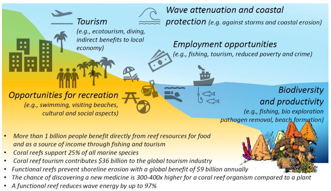 Figure 1. Physical, biological, economic, and cultural benefits derived from coral reefs (from research proposal SEALINK). 