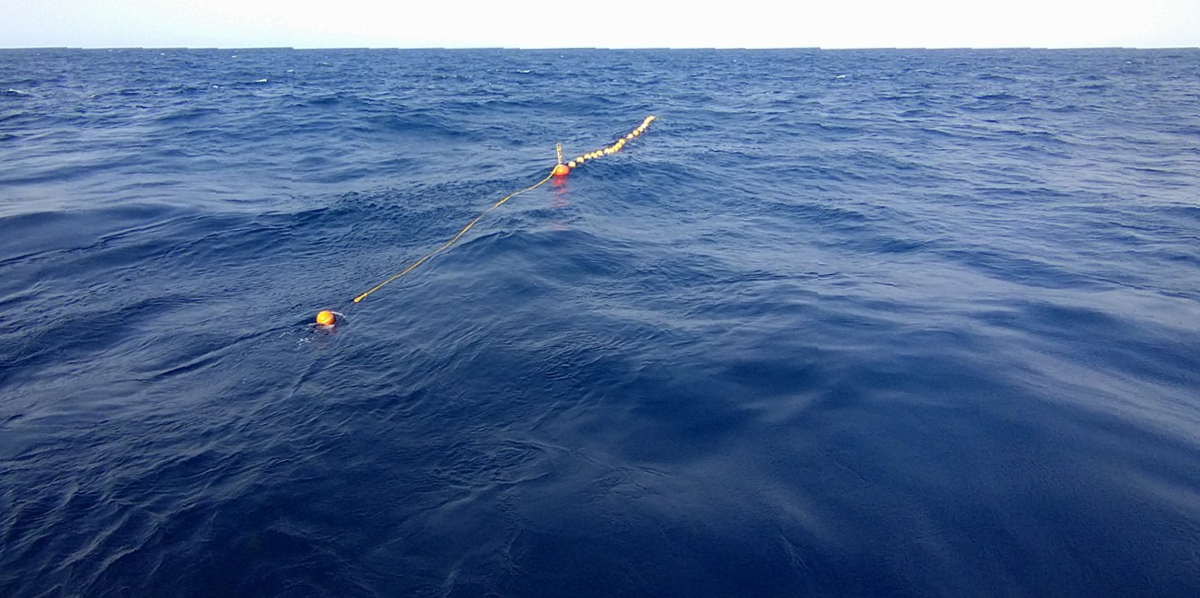 Like a duck with ducklings, the drifting-trap floats swim in a row