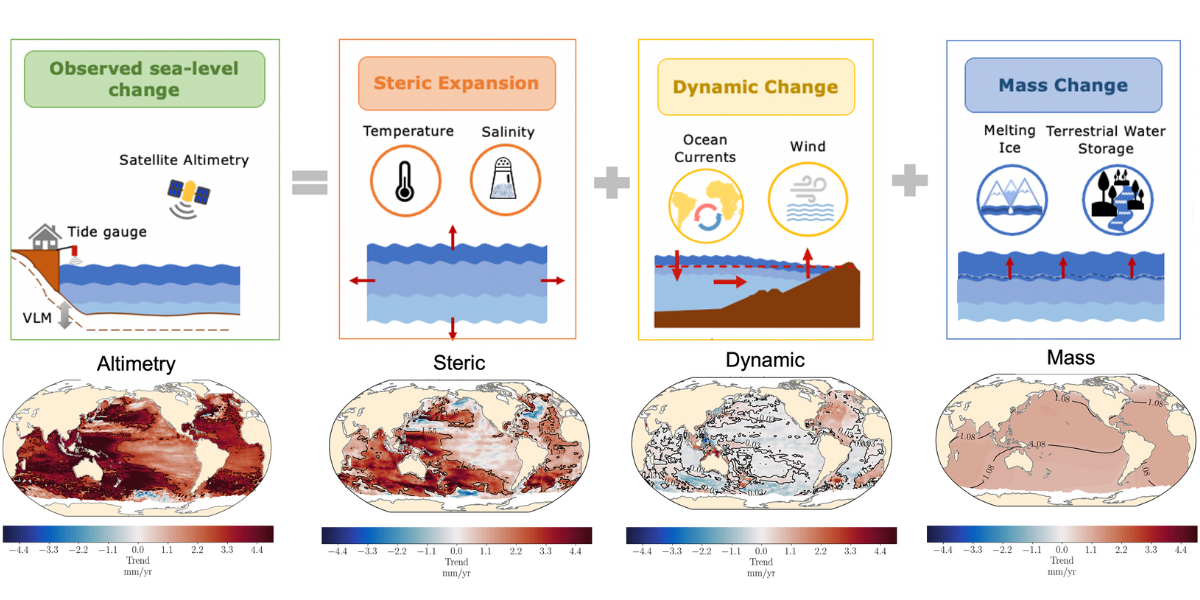 Sea level rise over the last 30 years around the world (left), broken down by the different factors causing sea level rise (density   changes, ocean dynamical changes and mass changes). Figure Carolina Camargo, NIOZ.