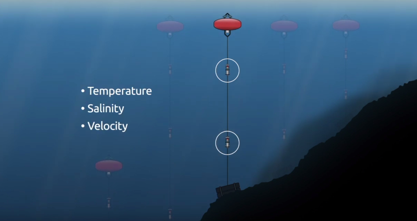 Aan iedere verankering hangt een instrument die heel precies de stroming, zout en temperatuur meet. Foto: NIOZ. 