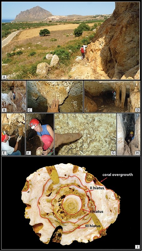 Study area (a,b) and details of the Rumena Karst cave (b,e,d). The cave wall (c-e) and the stalactite are covered by a coral encrustation. The stalactite section (i) reveals three concentric hiatuses and a fourth to which the corals attached themselves.