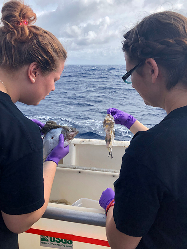 Sofia Ledin (NIOZ) and Jennie McClain-Counts (USGS) examine the bait fish after the short-term deployment. Animals had completely cleaned the inside of the fish during the 48 hours on the seafloor.Image courtesy of DEEP SEARCH 2019 -BOEM USGS NOAA