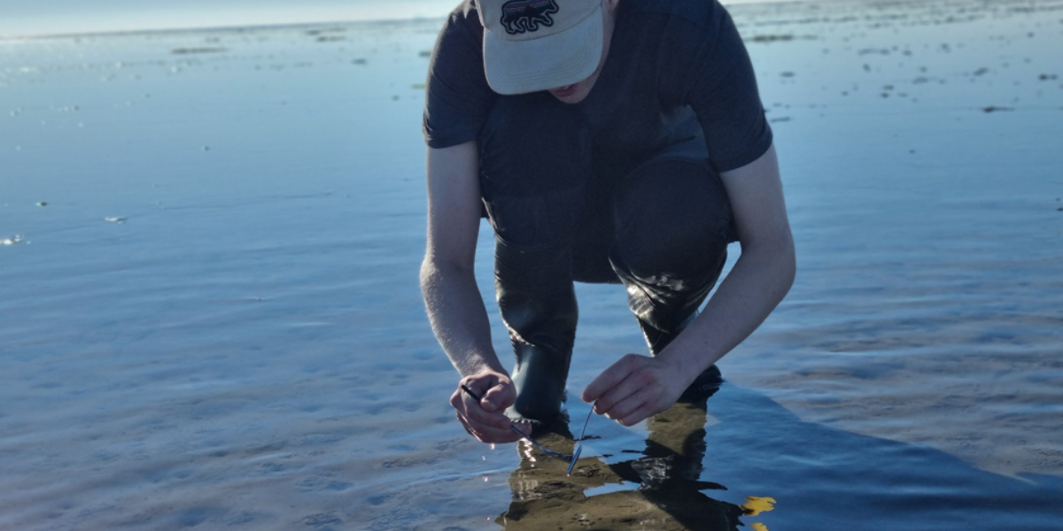 Timo verzamelt poep op het wad. Foto: Evy Gobbens