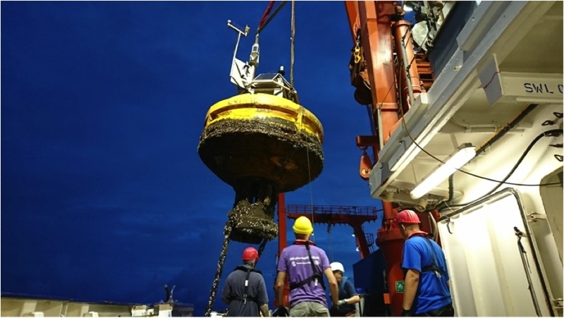 Buoy Michelle is being hoisted out of the water.