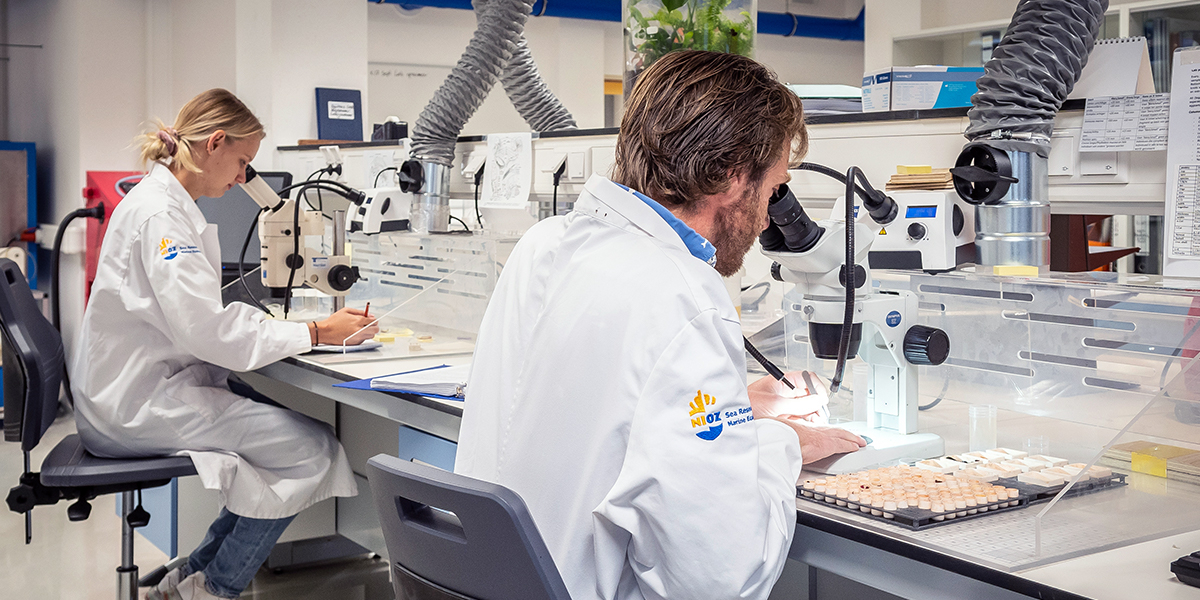 The Benthic Fauna and Plankton Lab.