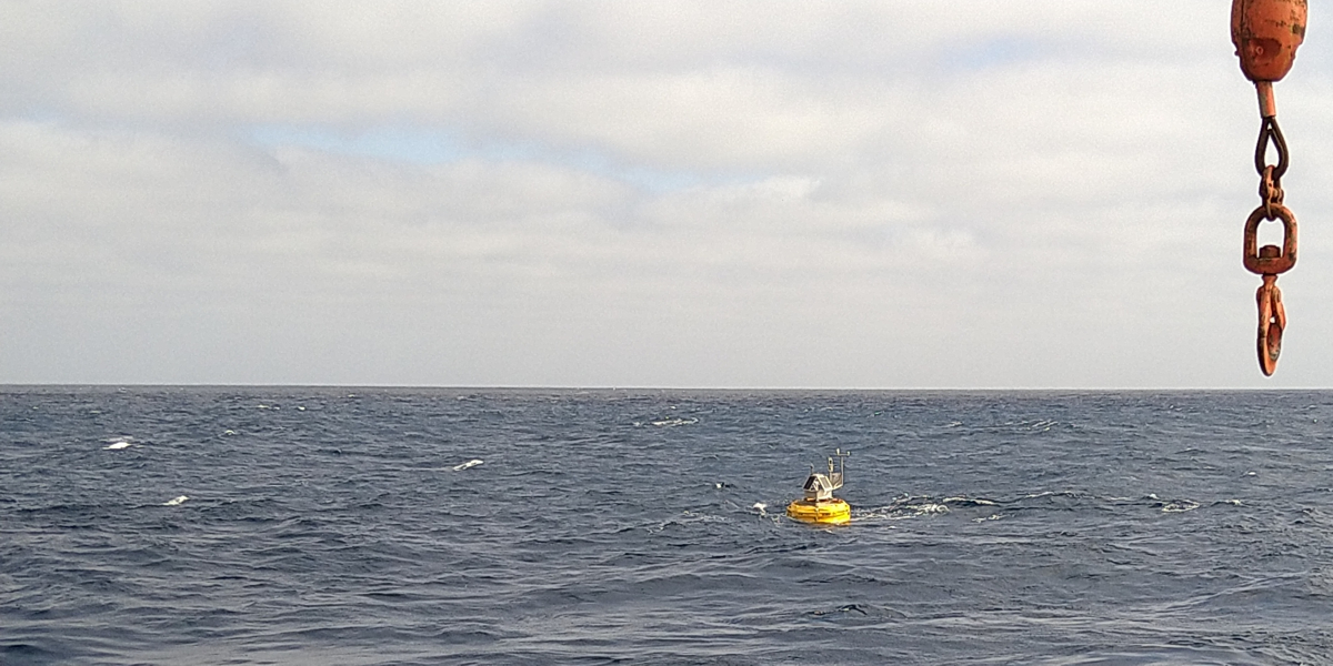 Buoy Carmen is re-deployed and ready for another year of collecting dust