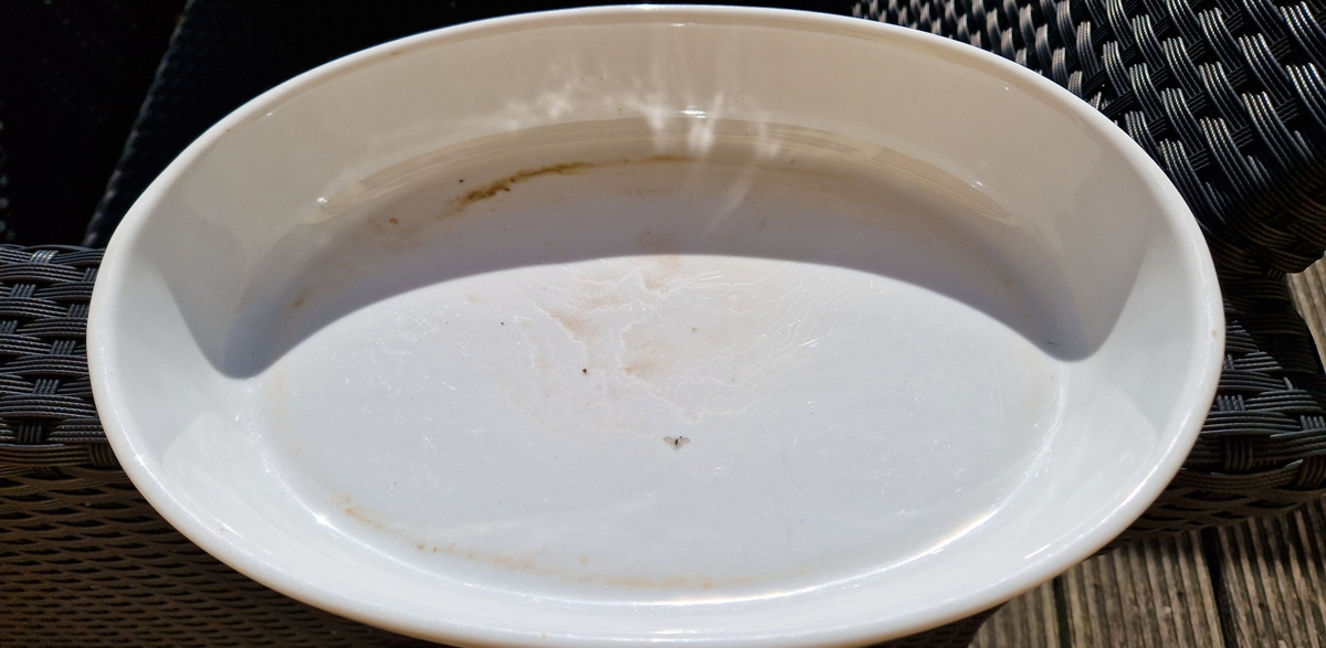 An oven dish which clearly shows traces of yellow-to-orange coloured dust (and an insect)