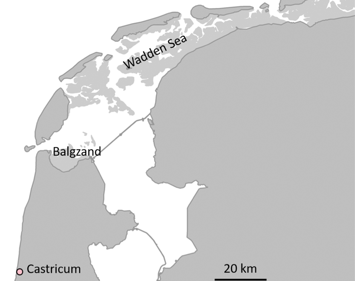 Map showing part of the Netherlands and the main locations mentioned in the text. The intertidal areas of the Wadden Sea are shown in light grey.