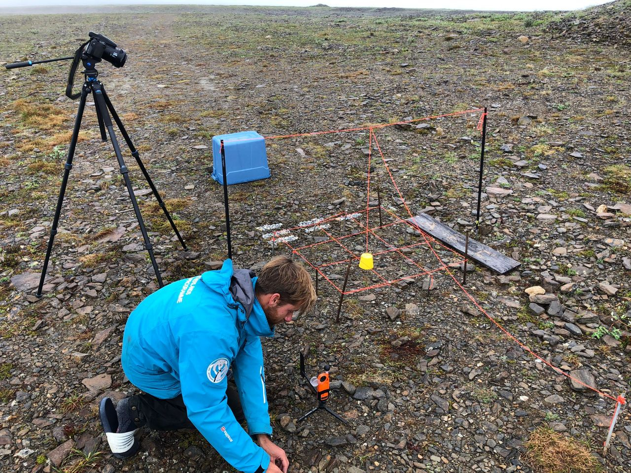 Tim conducting the Tipulidae movement experiment. Photo: Simon Spriensma