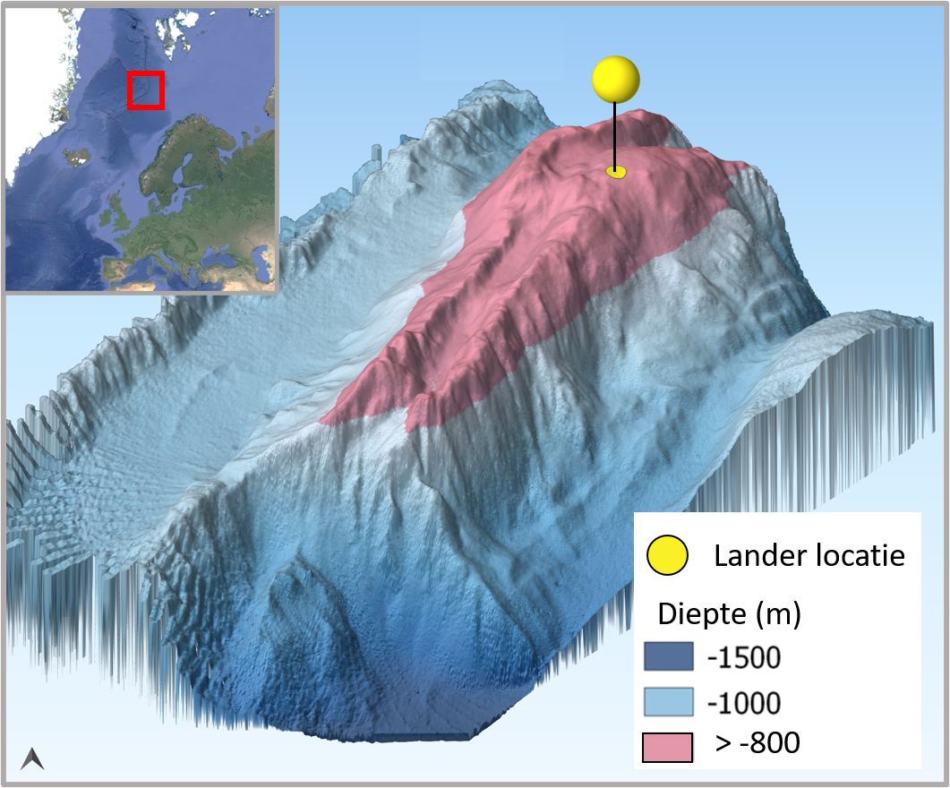 Schulz Bank Seamount. Image credit: SponGES project.