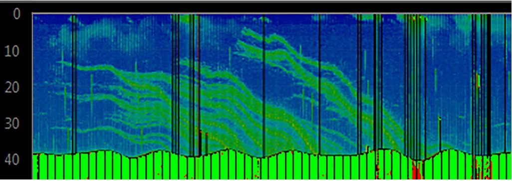 A sonar image of the seafloor and the overlying water column along a track from East to West. Methane bubbles are visible as acoustic flares (coloured in green) in the water column.  