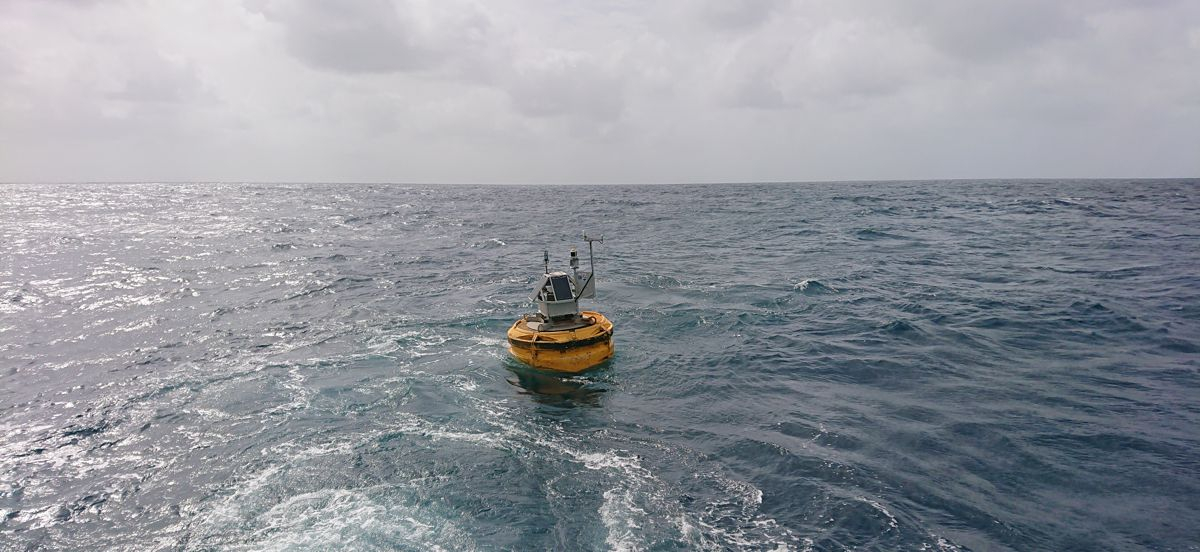 Buoy Carmen is back in, photo: NIOZ