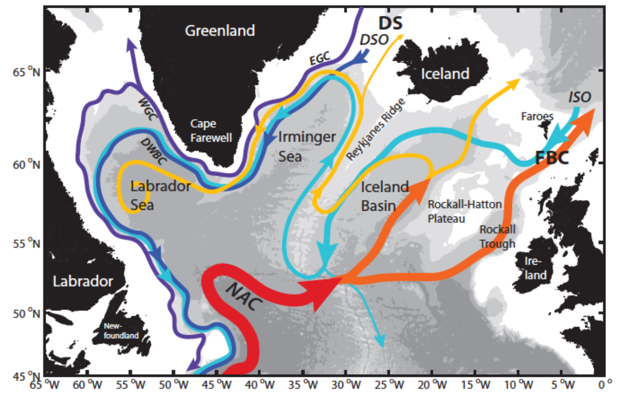 Picture 2: Ocean circulation in the Subpolar North Atlantic, Lozier et al 2017