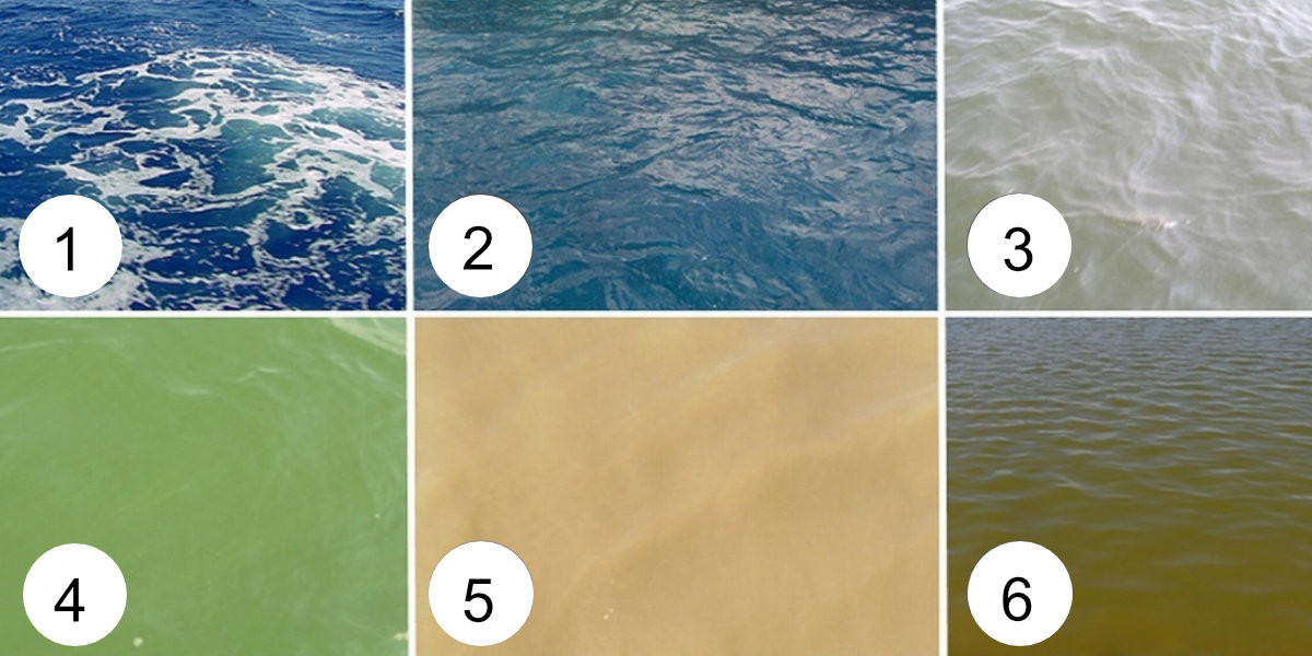 1-Atlantic Ocean, 2- Central North Sea, 3-coastal water, 4-coastal water with algal bloom, 5-Wadden Sea and 6-Loosdrecht Lakes.