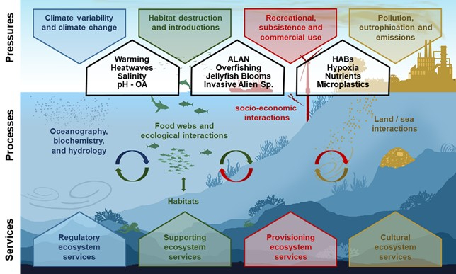 Illustration of 4 pressures and concomitant 12 interacting (abiotic and biotic) stressors influencing processes that impact the delivery of ecosystem services (modified from Steenbeck et al. In press Environ Modelling & Software).