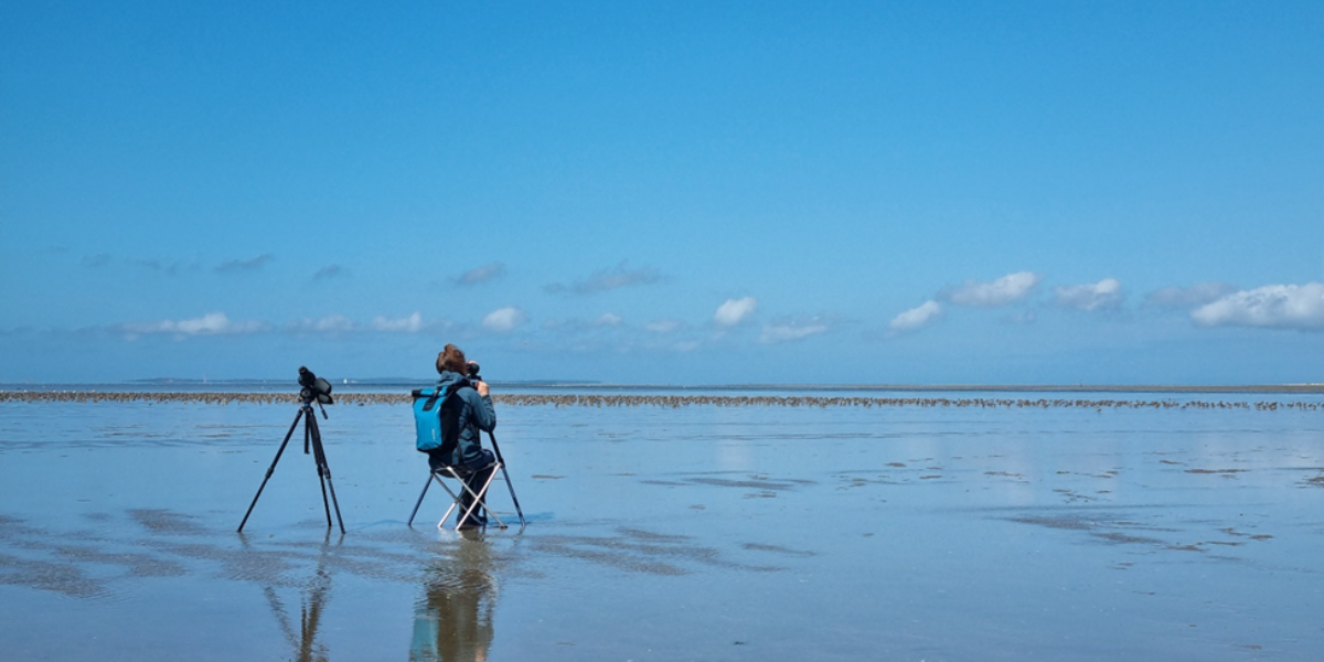 Emma Penning observeert duizenden kanoeten op het wad (foto: Evy Gobbens)