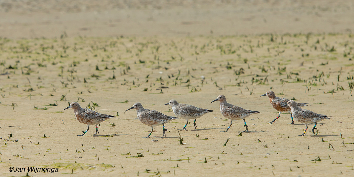 Paula (left) with other knots