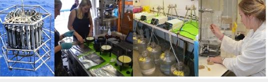 From left to right: CTD deployment on board of the R/V Pelagia to collect seawater; collecting filters from in-situ pumps; filtering CTD water over different porosities; lipid extract separation.