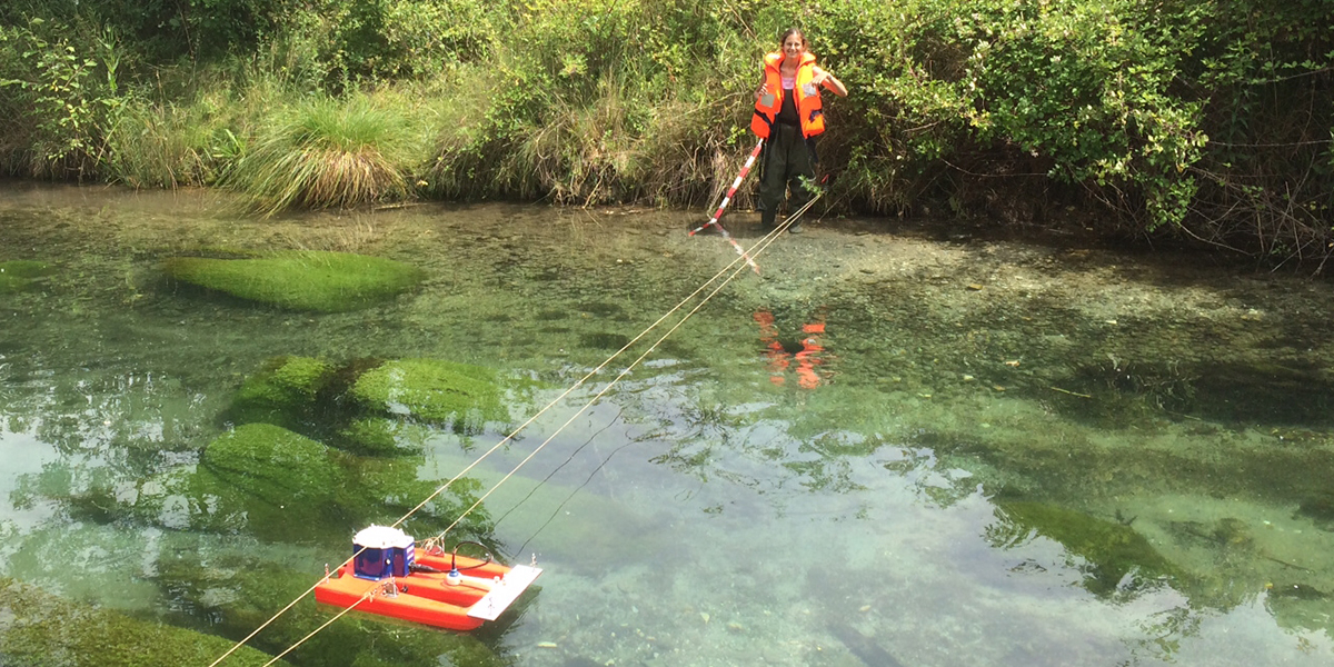 During extensive empirical research and sampling at two stream sites, the team observed that the plants determined the water flow. Photo: Loreta Cornacchia